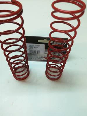 NEW RESSORTS COMPETITION BIG BORE ROUGES POUR LEOPARD 2020 (2 pcs)