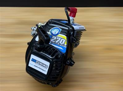 Ferry Fernee RV-Racing 270 European Champions version 26cc EFRA legal LSOR 2WD